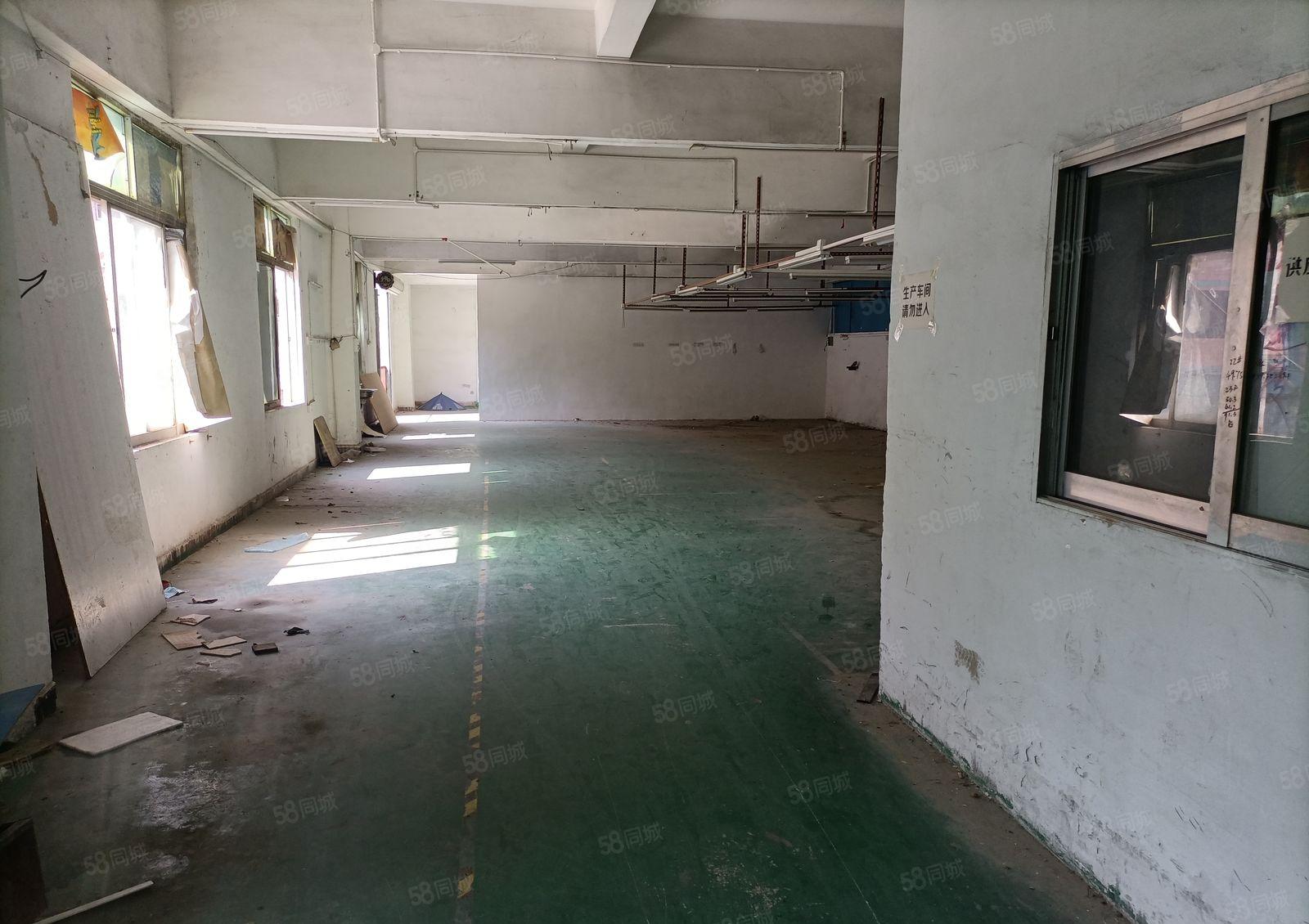 厦岗原房东楼上300平方厂房出租