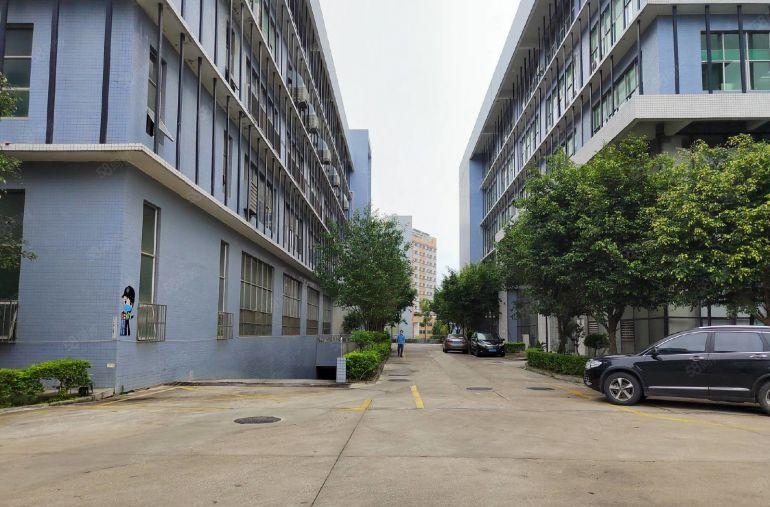 长安沙头工业区原房东楼上1200平厂房出租现成办公室有红本