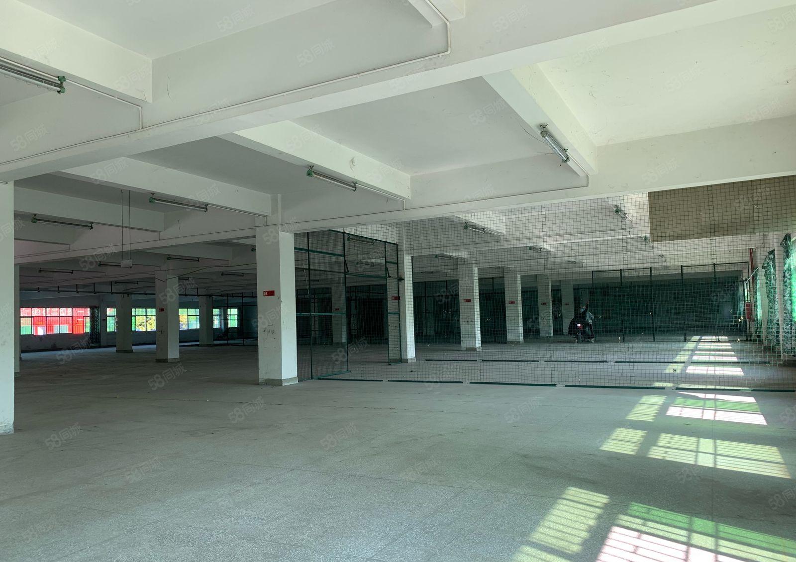 常平标准厂房实际面积出租