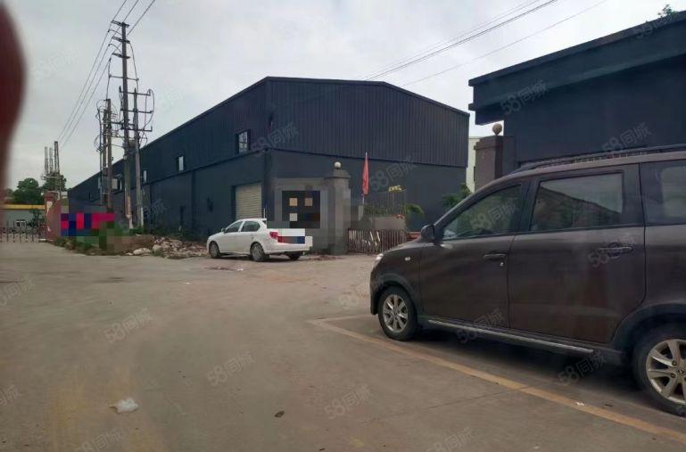 常平司马空地大单一层钢构低价厂房出租1万平方小面积500平起