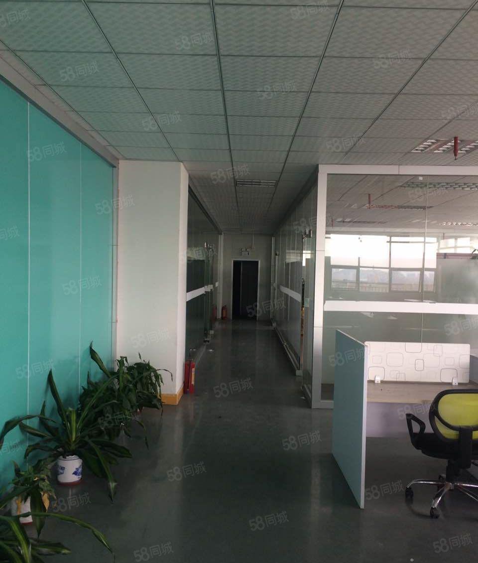 常平带现成装修厂房低价出租5001500平无转让费工业用地