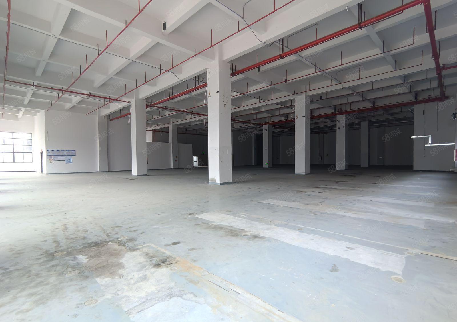 常平镇新出靓盘，可办环评带消防