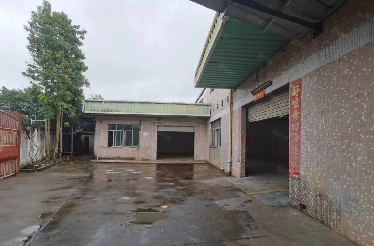 常平司马单一层钢构小独院低价厂房出租1000平方带办公室行车