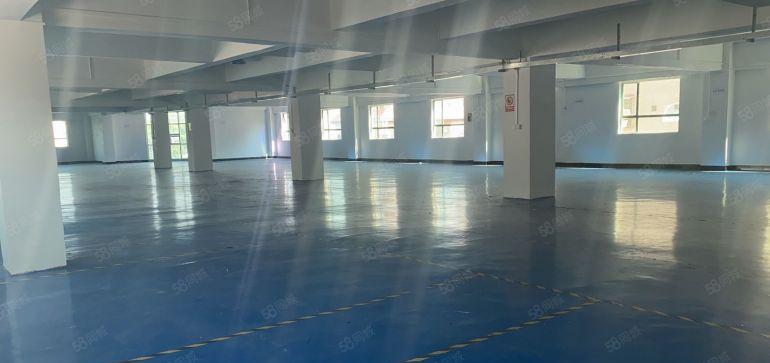 常平楼上新出洁净车间800平带现成办公室低价出租