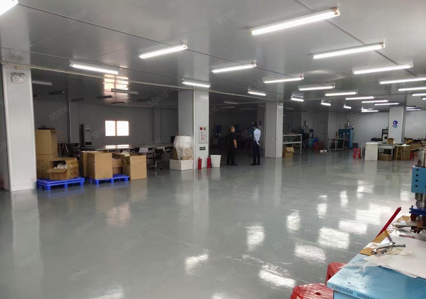 常平新出原房东独院厂房出租总面积4500平