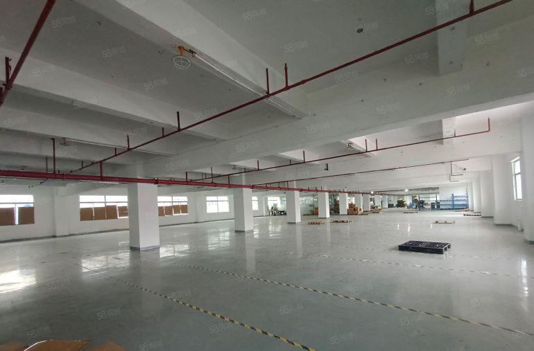 低价8元常平工业区2楼标准厂房带精装修出租3吨货梯，可分租