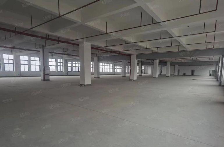 常平高速口新出原房东15000平单层3000平厂房仓库出租