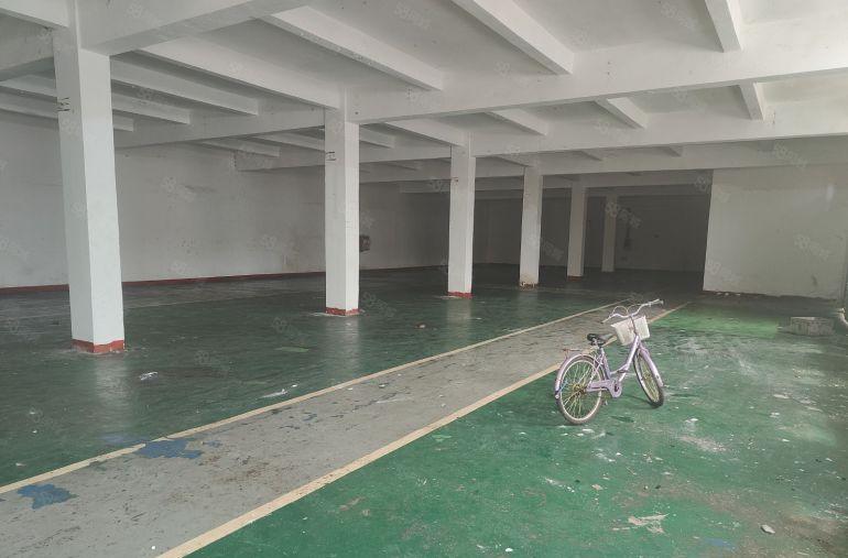 常平标准厂房一楼600平方！形象好，空地大！