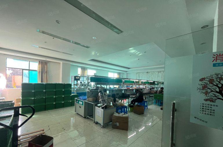 常平新出标准厂房二楼带豪华精装修500平现成水电