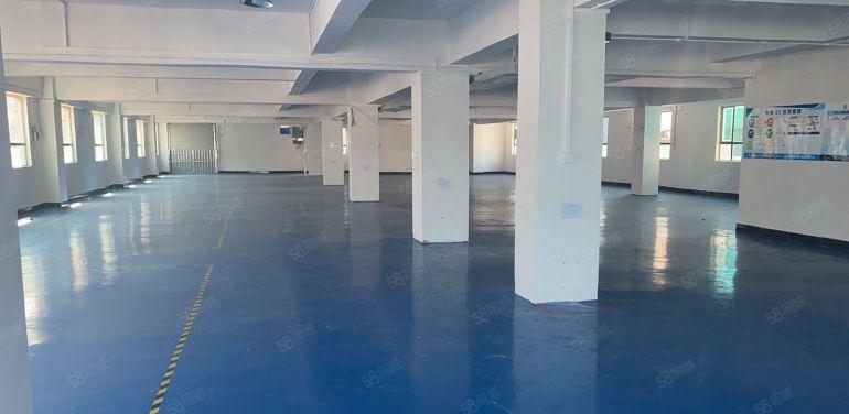 常平楼上新出洁净车间800平带现成办公室低价出租
