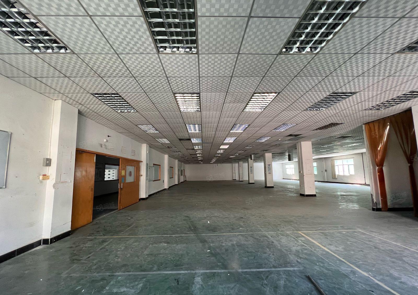 常平九江水楼上独立1380平出租 现成装修 搬进去即可生产