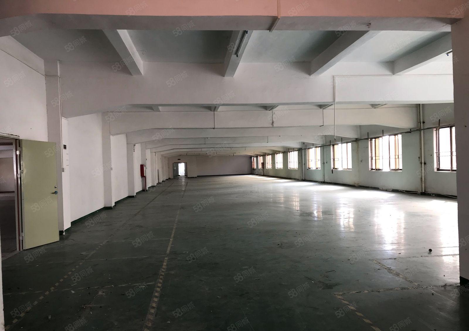 常平板石新出楼上2000平带精装修厂房