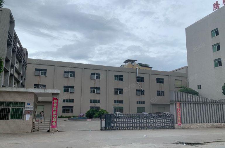 常平新出原房东独门独院12000平方红本厂房出租可分租