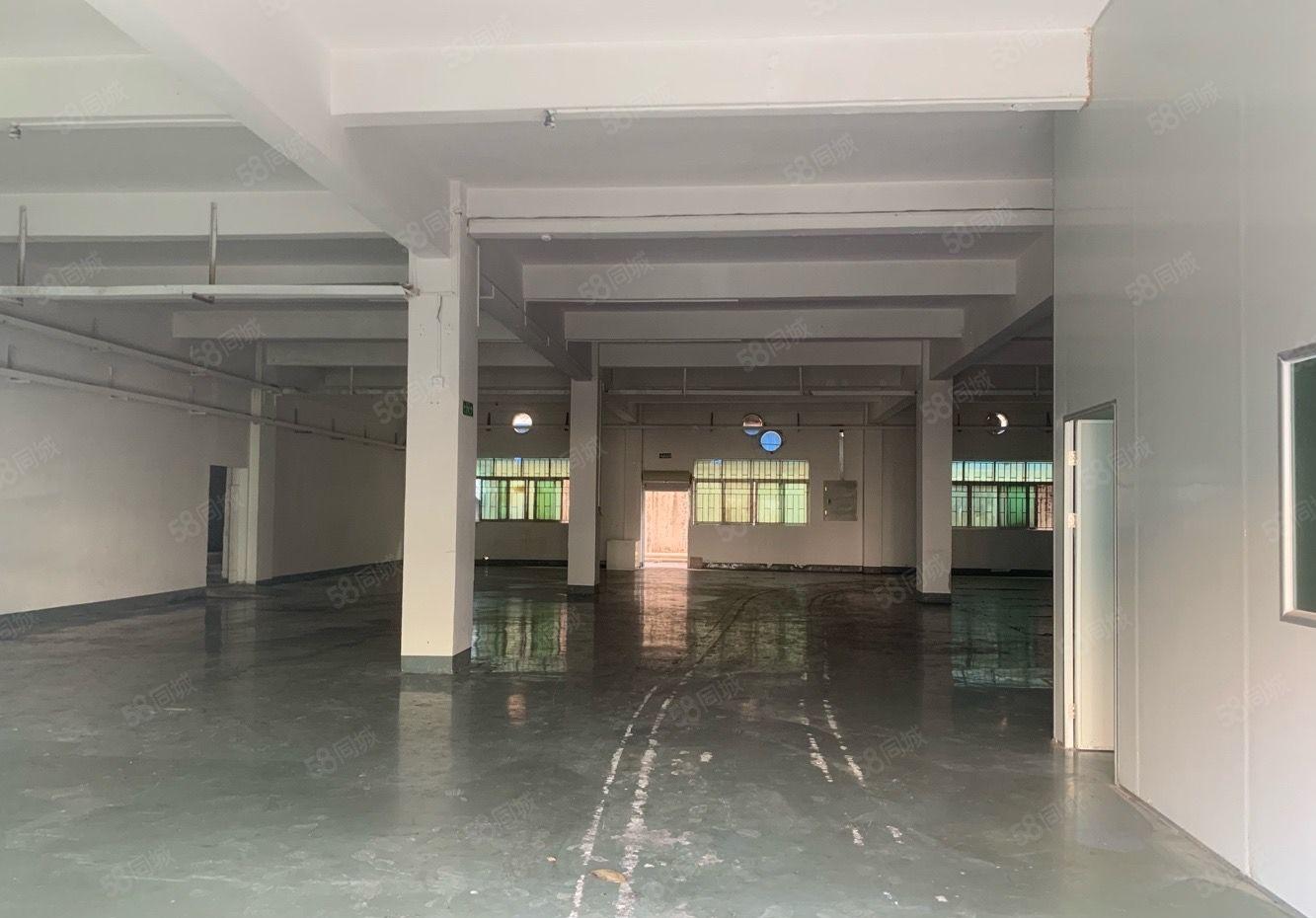 常平新出标准一楼780平 现成装修办公室 主线到车间工业用地