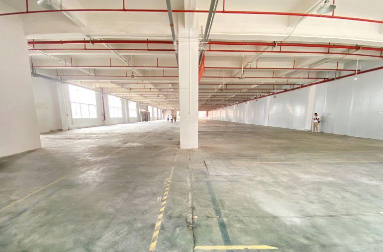 常平 原房东 全新标准一二楼  适合注塑五金模具钣金冲压压铸