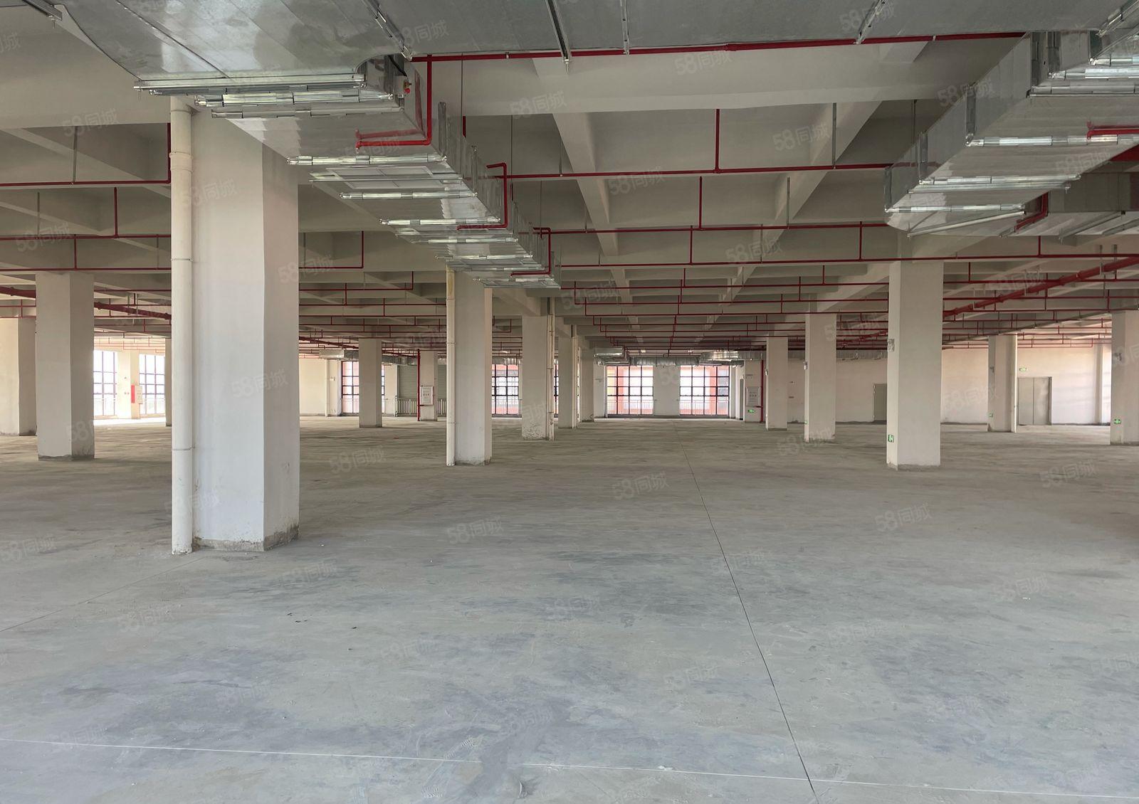 1000平起租临时仓库常平镇环城路新建园区5万平