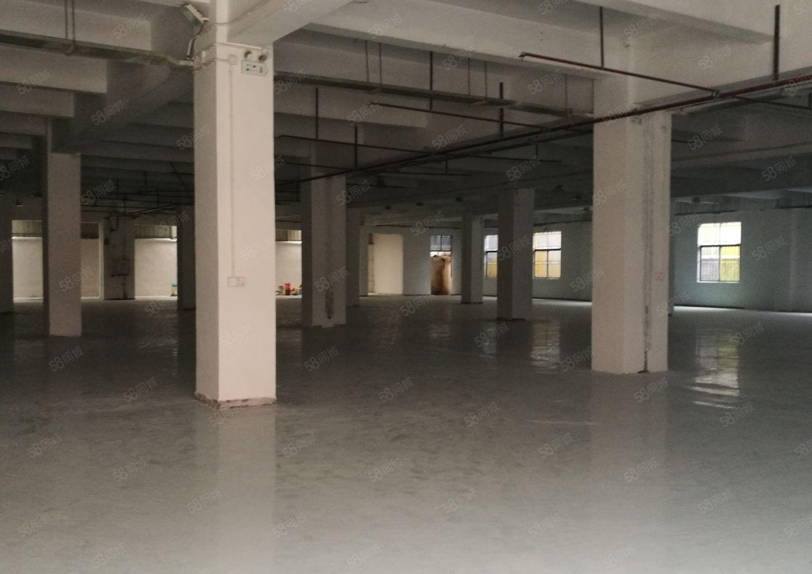 常平苏坑工业区新出一楼750平米带装修，水电齐全，可办环评