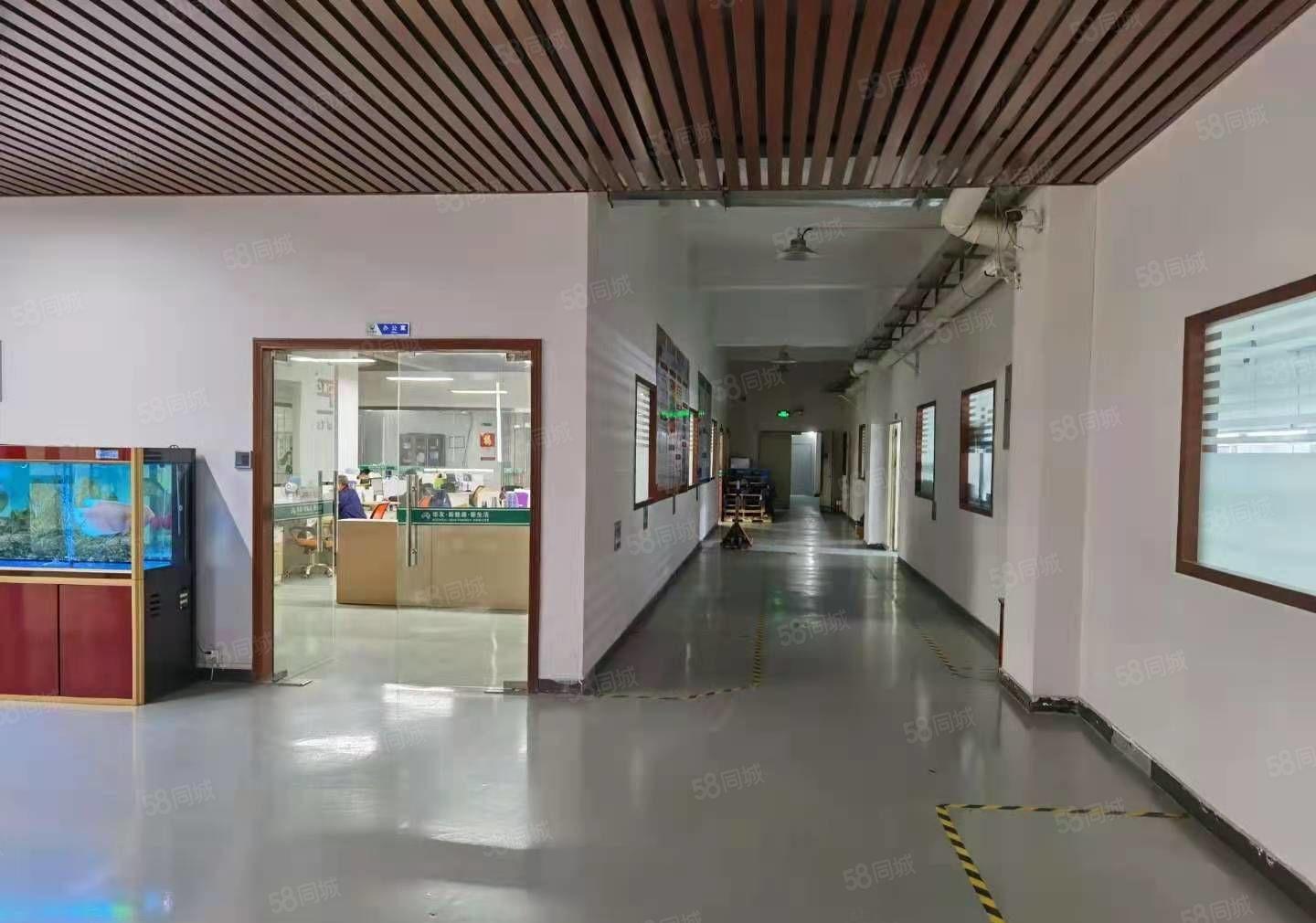 常平新出标准二楼2100平，豪华装修