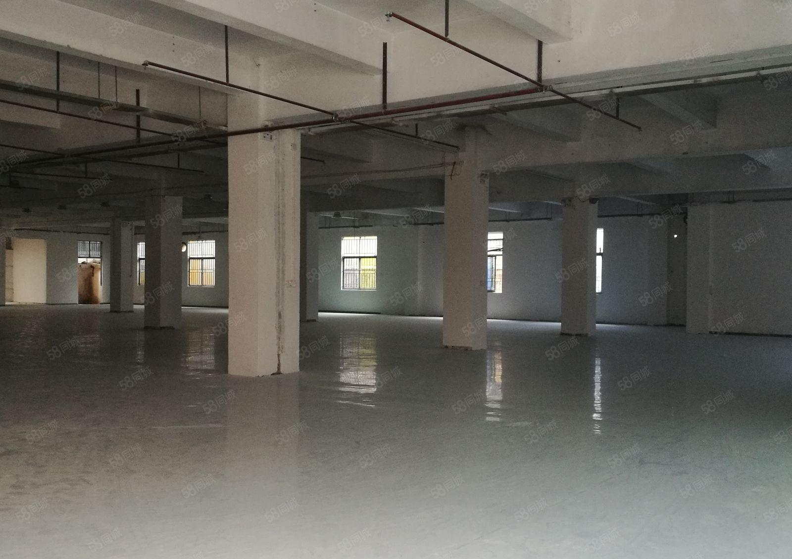 常平苏坑工业区新出一楼750平米带装修，水电齐全，可办环评