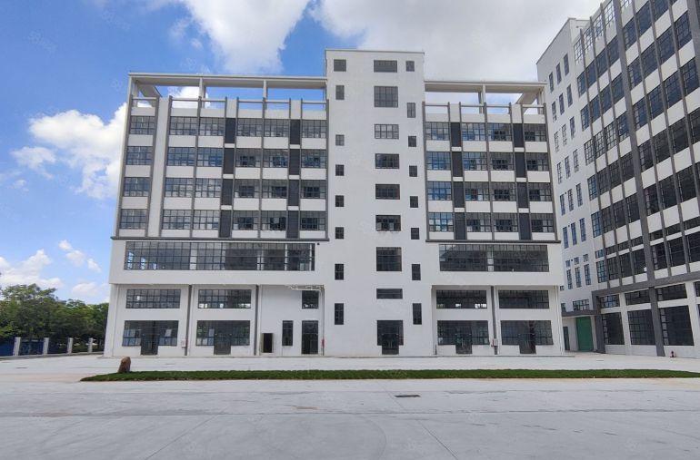 常平田尾村新建花园式厂房价格便宜15块钱超大空地