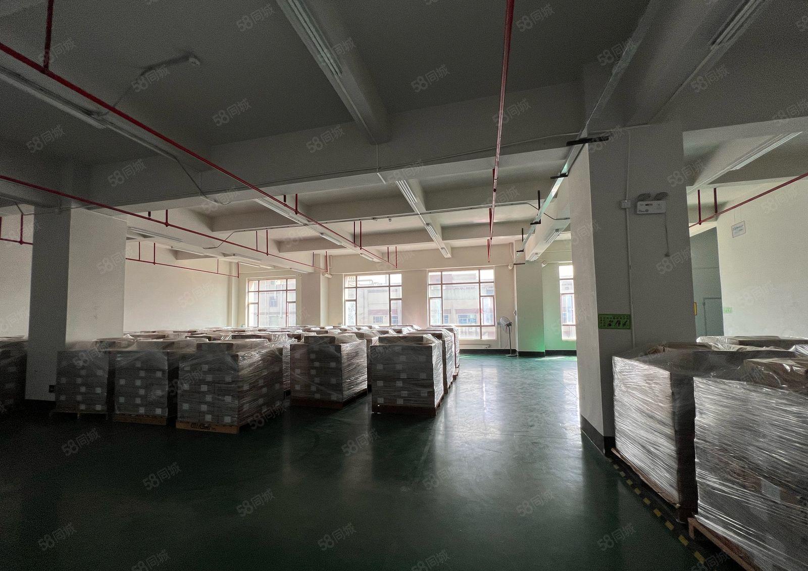 木轮工业园 无尘车间1600平厂房出租 5吨大货梯！形象好！