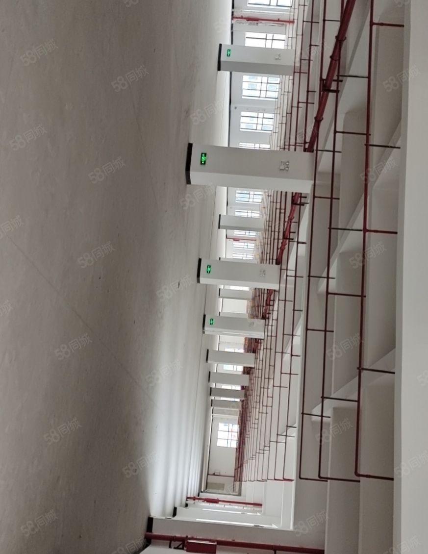 东莞常平镇原房东标准厂房全新30000平方出租，可办环评