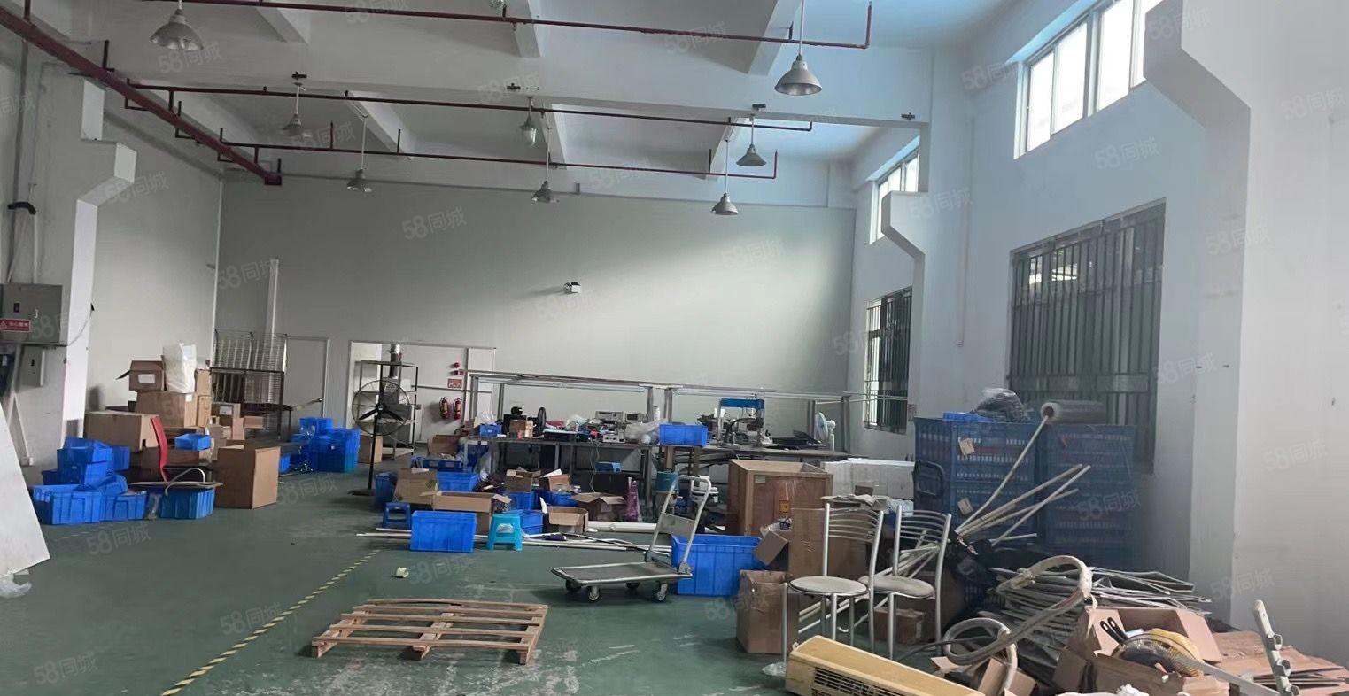 常平高速路口新出独院厂房形象好超大空地停车场