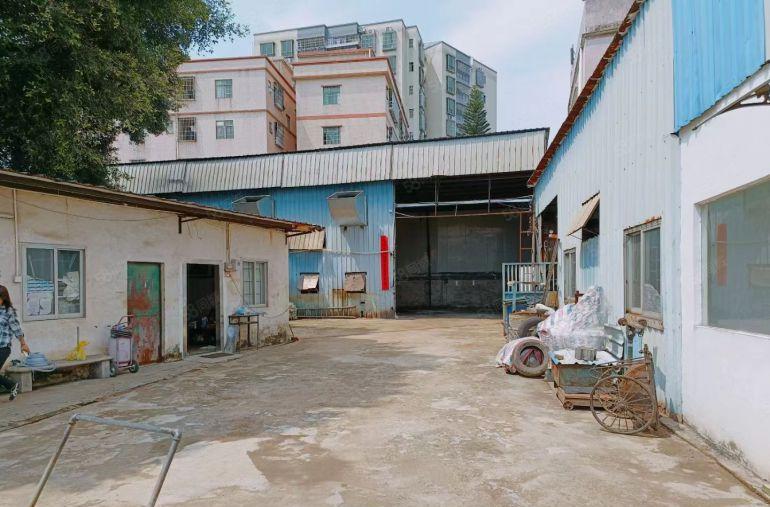 常平10块钱一手原房东独院厂房价格便宜面积实在位置好招工