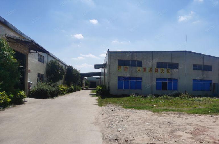 常平司马单一层钢构工业园滴水8米1万平方500平起无柱子低价