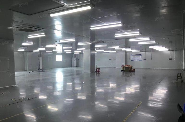 常平空出无尘车间1600平招租厂房形象好