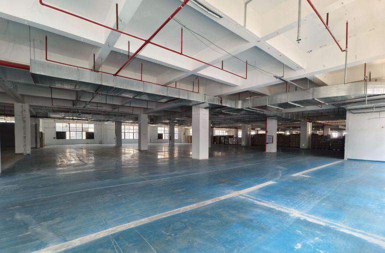 常平新出楼上3000平精装修厂房带现成水电办公室地坪漆可分租