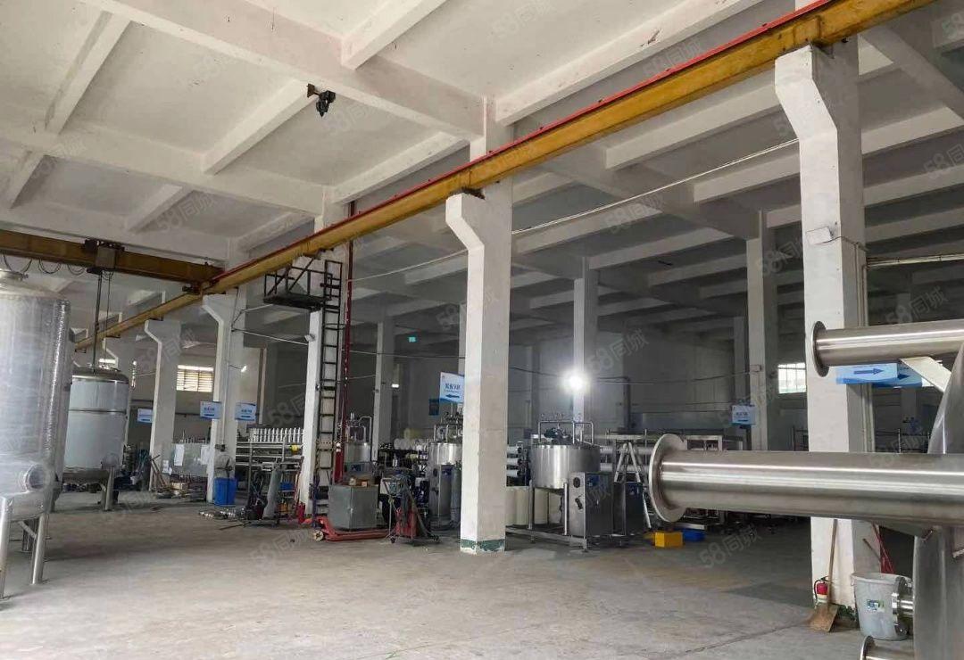 常平靠大朗独院厂房12楼7000平方，首层8米，带牛角