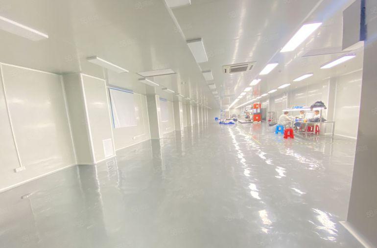 常平 原房东   独院   无尘车间   适合电子模切五金等