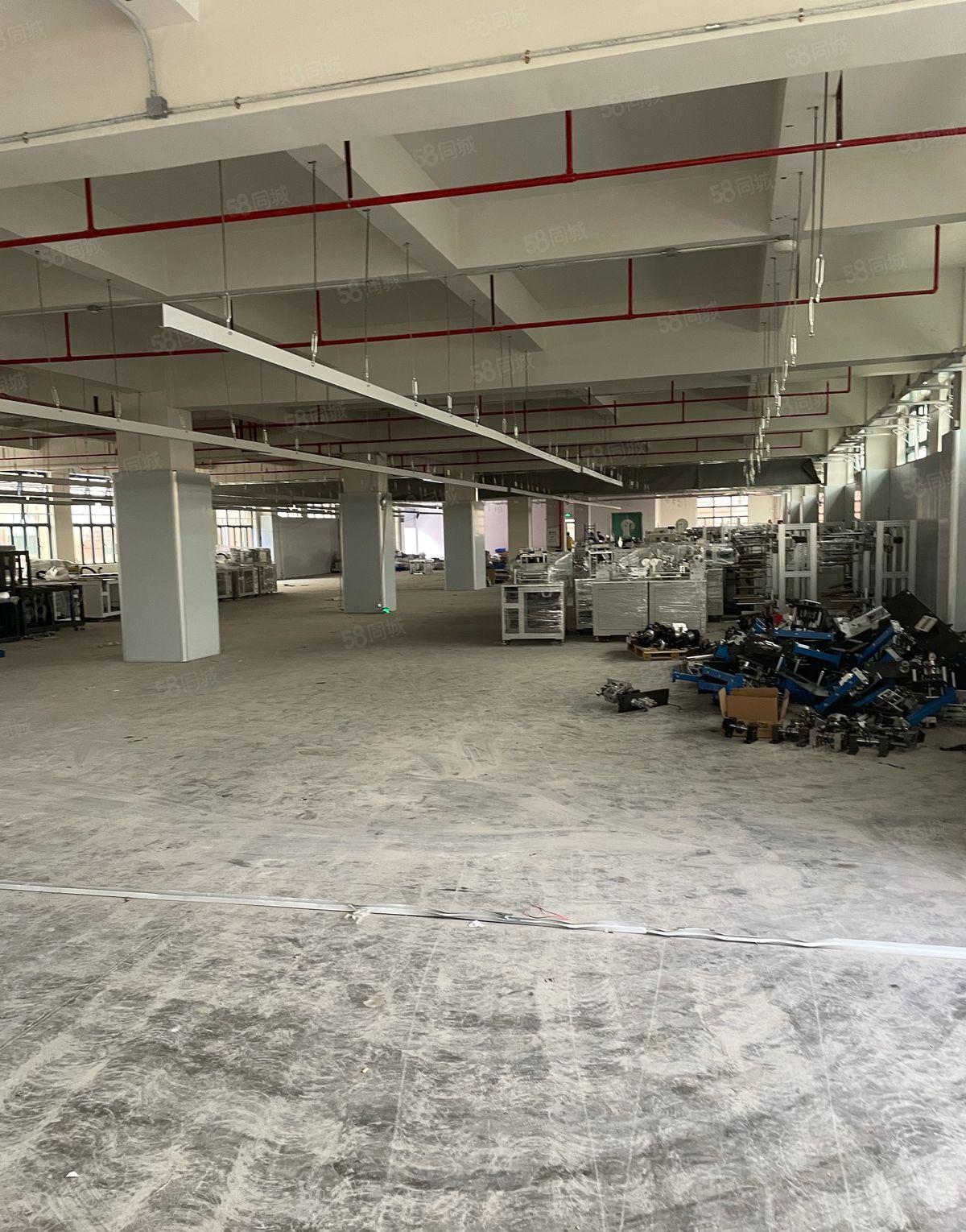 常平独门独院厂房5200平招租宿舍1600平仓库700可分租