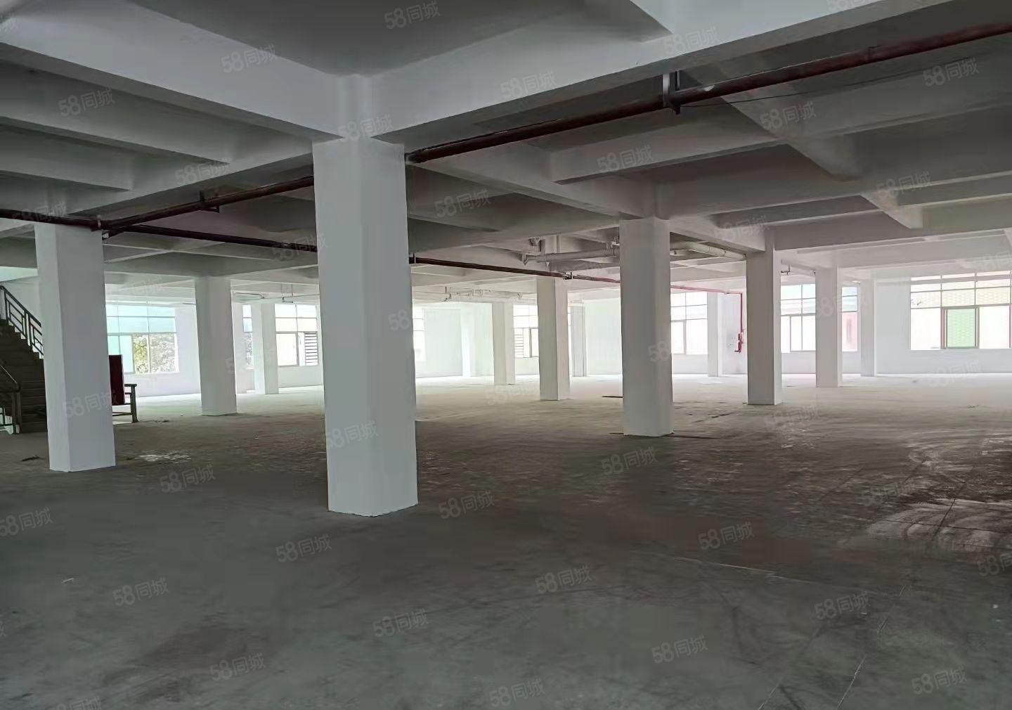 常平镇新出靓盘，可办环评带消防