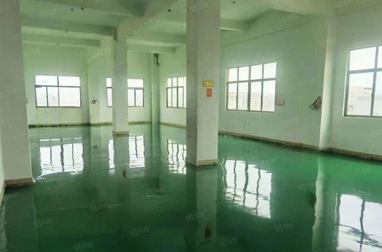 常平镇靠大朗一楼3500平方可分租层高8米精装修办公室带行车