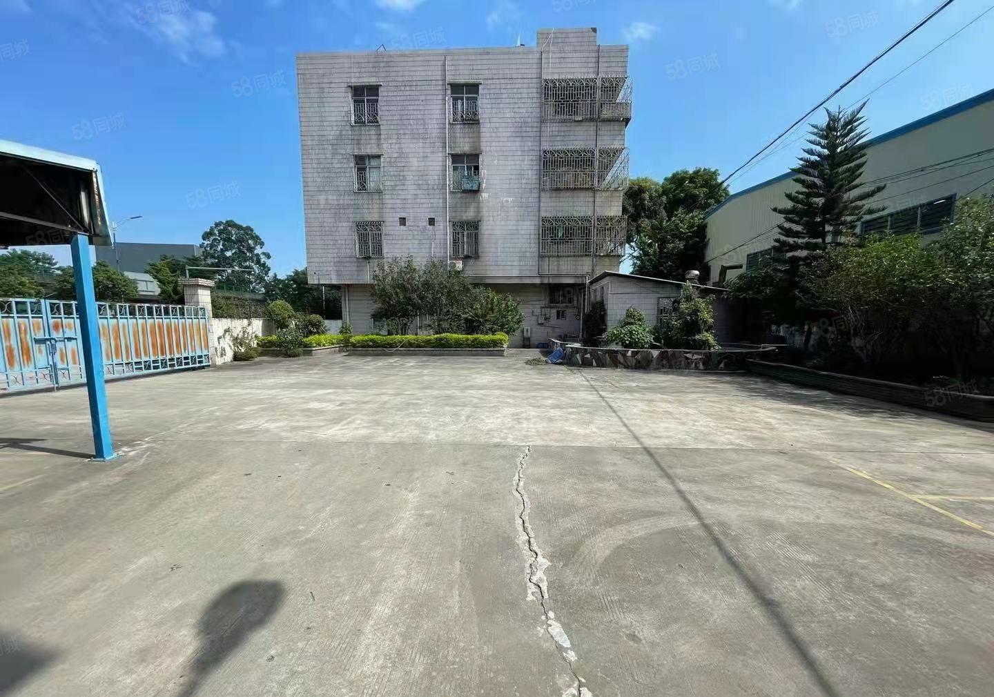 常平靓两层独院厂房一手房东出租无中间差价可办环评