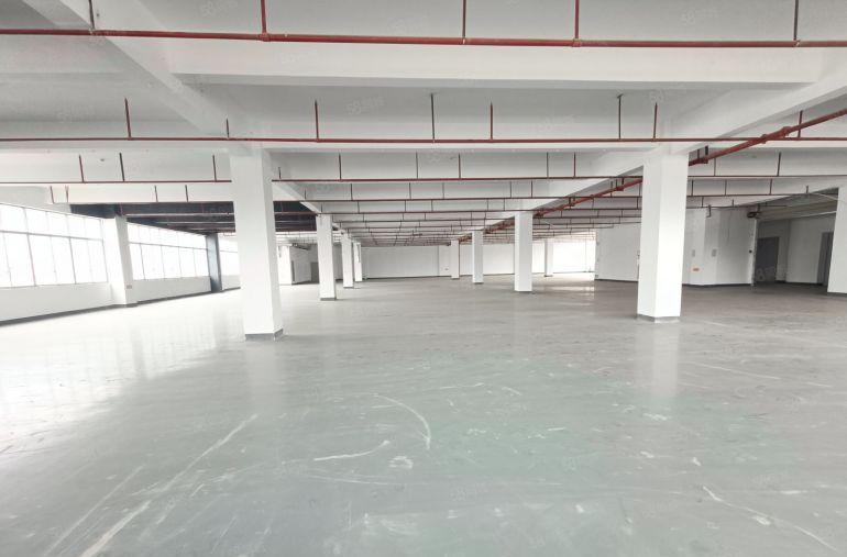 常平镇中心原房东二楼1500平，精装修，带独立办公室，可分租