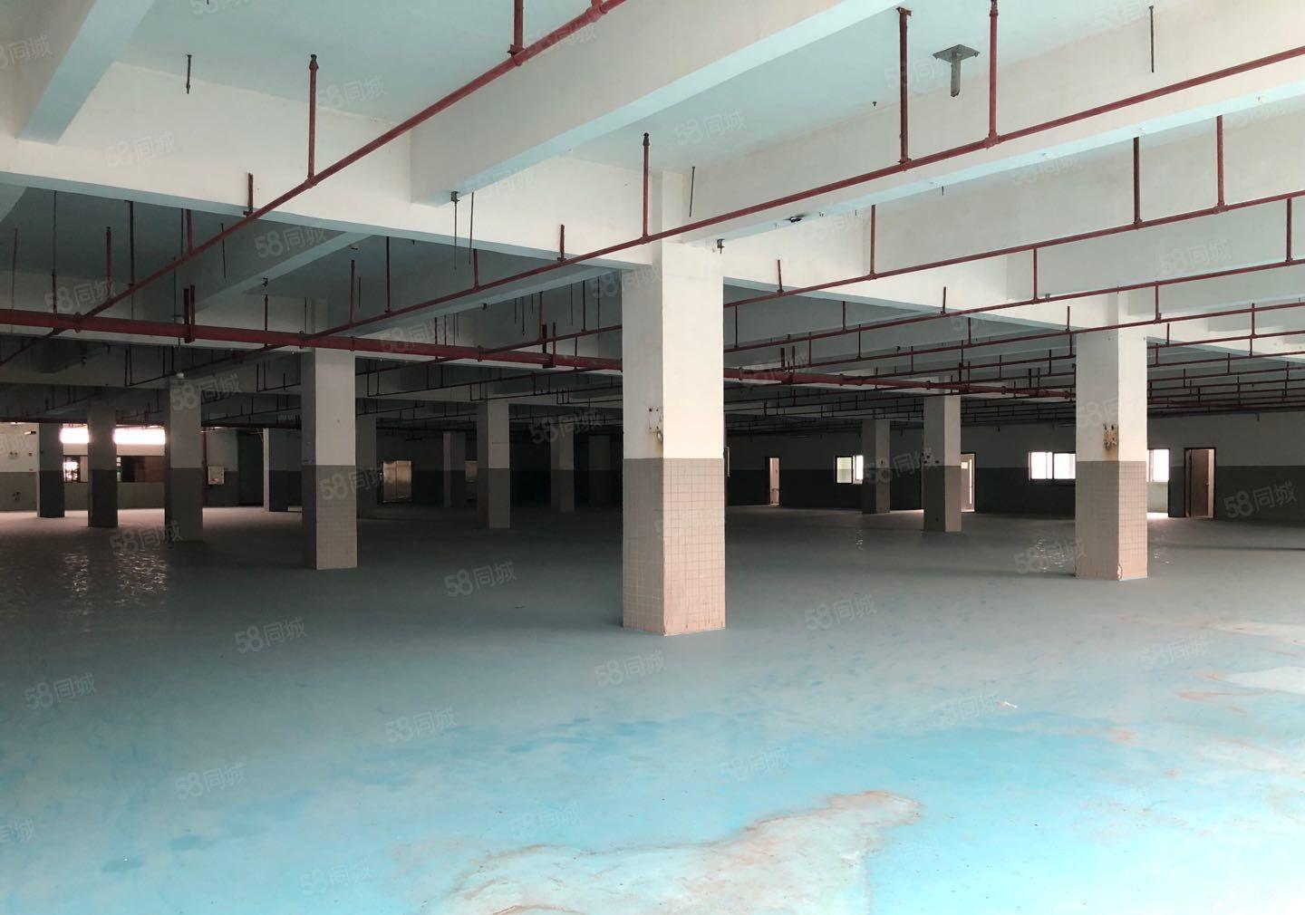 常平独院无柱子代价原房东环保厂房出租