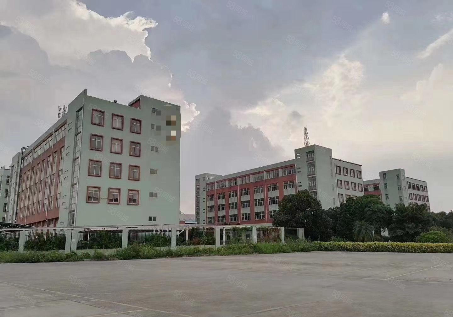 常平厂房出租，新出独院32000平，现成办公室，空地超大