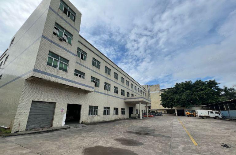 常平桥沥带牛角标准独院可分租空地大