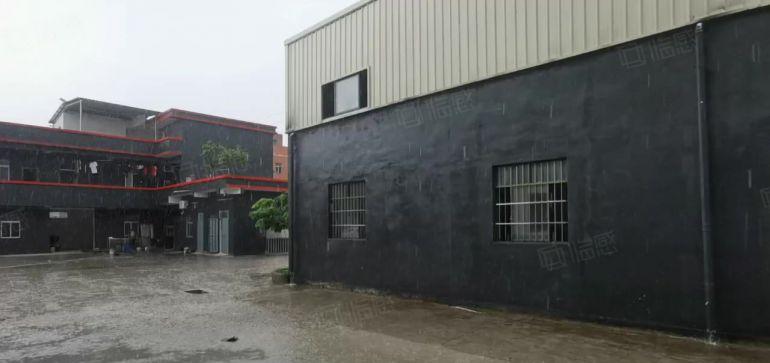 常平司马空地大单一层钢构低价厂房出租1万平方小面积500平起