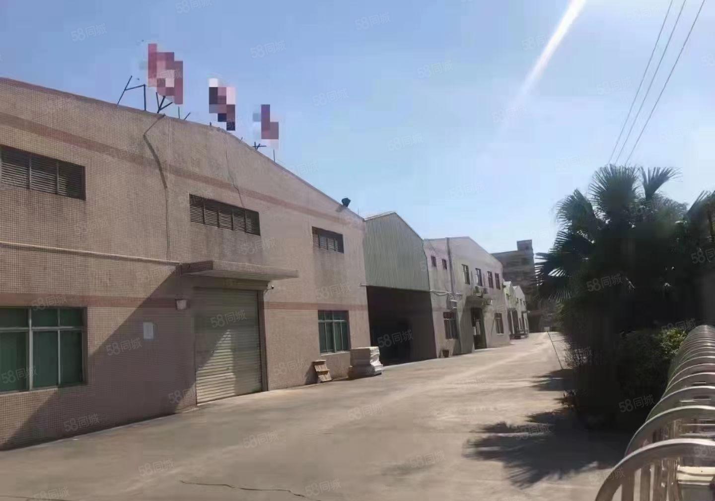 常平镇高速路口附近砖墙到顶单一层钢构独院15000平厂房出租