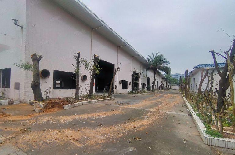 12米！高标库单一层独院厂房，门口空地6500平方。