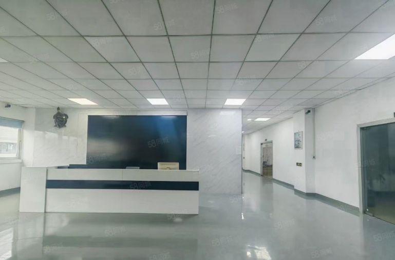 常平新出原房东独门独院15000平方红本厂房出租可分租