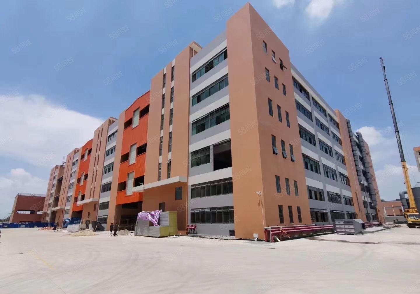 可分租！东莞常平镇 独门独院标准厂房出租，园区证件齐全空地大