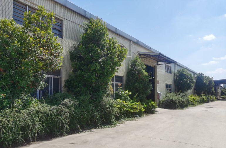 常平司马单一层钢构滴水8米厂房分租独栋3000平方可低价分租