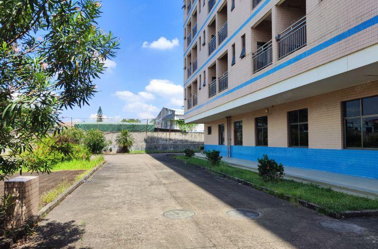 常平新出一楼很适合配送物流快递厂房空地很大实际面积出租环境好