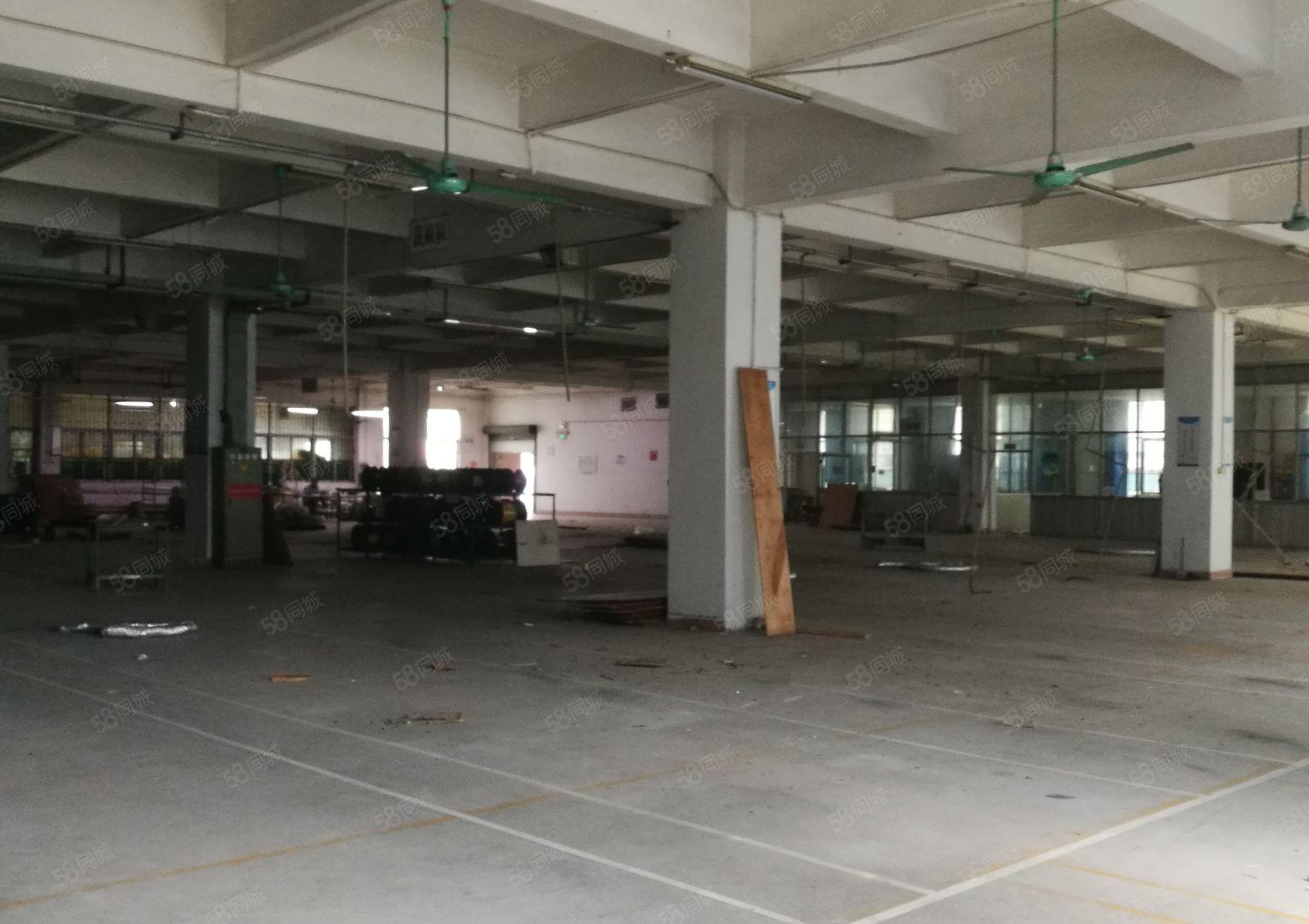 常平桥梓工业区新出一楼650平米，高度6米，现成水电装修