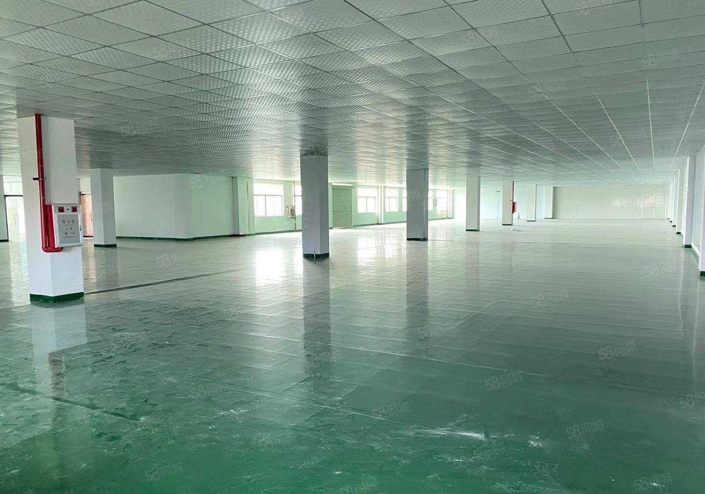 常平司马全新地坪漆带装修的厂房可做服装，电子，电商
